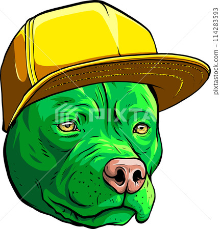 American Pitbull Terrier dog on white background. vector illustration design 114283593