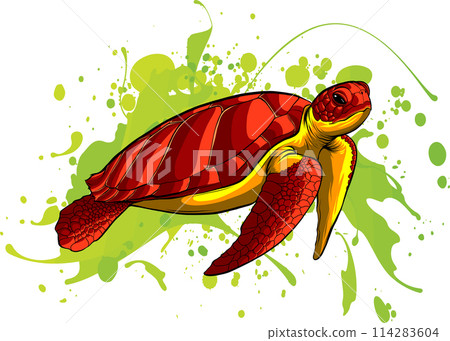 Sea turtle colored drawing of a sea turtle on a white background. digital hand draw design 114283604
