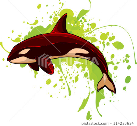 vector Marine background with a killer whale jumping out of water 114283654