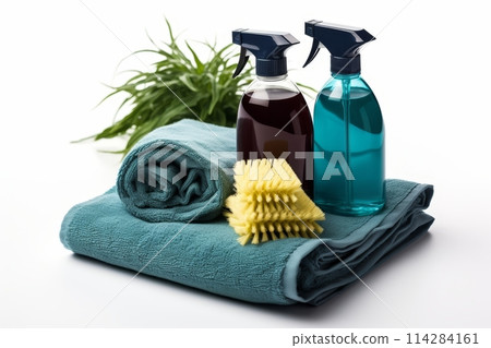 Blue Green Cleaning Supplies with Plant on White Background for Tidy Home 114284161