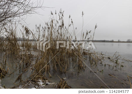 frozen lake in winter in cloudy weather, ice on the lake ts 114284577