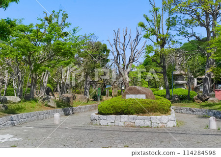 Around Junsai Pond Green Space, Ichikawa City, Chiba Prefecture May 2024 114284598