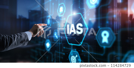 IAS International Accounting Standards. Financial statements 114284729