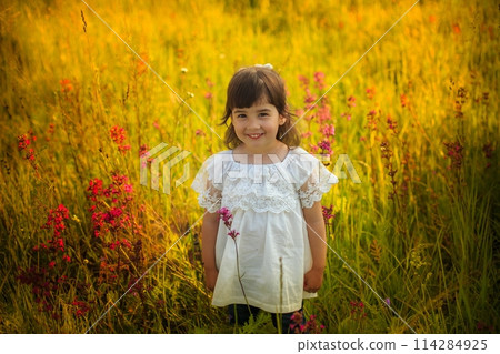 Smiling little girl in white dress standing in warm sunlight in blooming field Smiling little girl in white dress standing in warm sunlight in blooming field 114284925