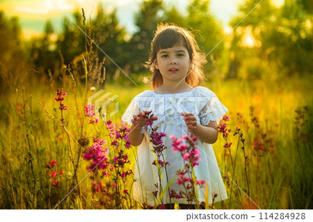 A little girl in white dress standing alone in warm sunlight in blooming field 114284928