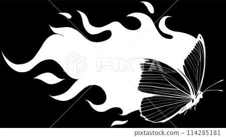 white silhouette of butterfly made of fire on black background white silhouette of butterfly made of fire on black background 114285181