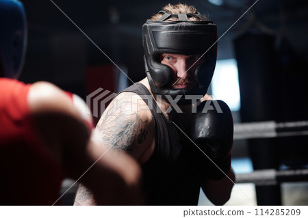 Male boxer forcing rival on boxing ring 114285209