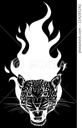 white silhouette of Leopard head with fire on black background white silhouette of Leopard head with fire on black background 114285242