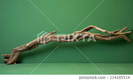 Beautiful winding driftwood for product photography. Grape branch on a table with beautiful sunlight 114285514