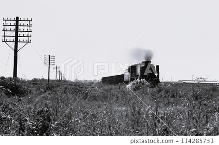 1968, Steam locomotive 9600 hauling freight train and flyswatter (electric pole), Hachiko Line, Higashi Hanno, Saitama Prefecture, archival photo 114285731