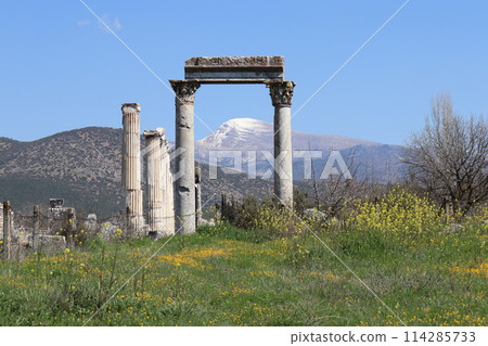 Aphrodisias Ruins, World Heritage Site, Aegean Coast, Turkey, Asia 114285733