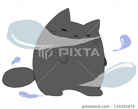 靈魂和貓 114285874