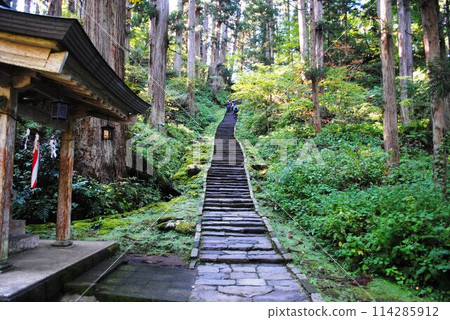 Haguro mountain five-storied pagoda designated as a national treasure Haguro mountain five-storied pagoda designated as a national treasure 114285912