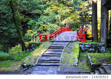 Haguro mountain five-storied pagoda designated as a national treasure Haguro mountain five-storied pagoda designated as a national treasure 114285913