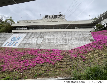 Scenery with a building 114285970