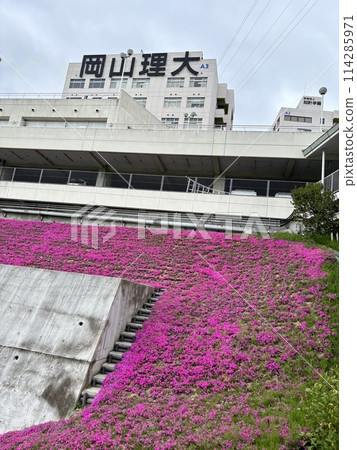 Scenery with a building 114285971