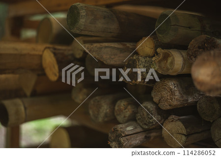 Storage area in the forest Firewood Fuel 114286052
