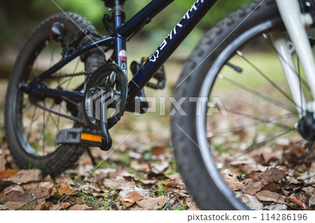 Off-road bicycle in the mountains for children LOOK bike 114286196