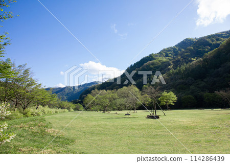 營地燒烤 114286439