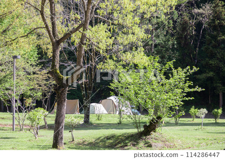 Camp BBQ Camp BBQ 114286447