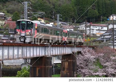 Hakubi Line 227 Series Train in Spring (Okayama⇔Niimi) 114286991