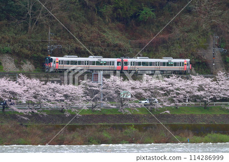 Hakubi Line 227 series train running along the Takahashi River in spring (Okayama⇔Niimi) Hakubi Line 227 series train running along the Takahashi River in spring (Okayama⇔Niimi) 114286999