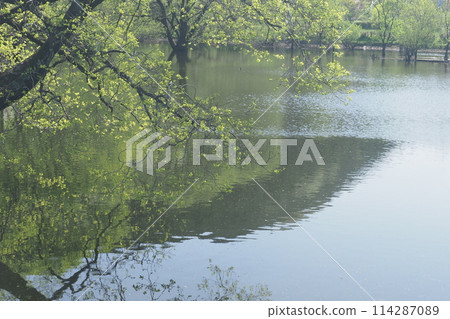Spring at Lake Muro 114287089