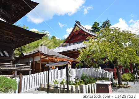 天引觀世音 2023-9-3 #32 114287528