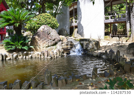 Amabiki Kannon 2023-9-3 #34 Amabiki Kannon 2023-9-3 #34 114287530
