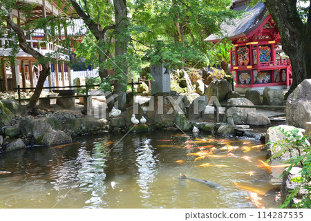 Amabiki Kannon 2023-9-3 #39 Amabiki Kannon 2023-9-3 #39 114287535