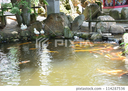 Amabiki Kannon 2023-9-3 #40 Amabiki Kannon 2023-9-3 #40 114287536