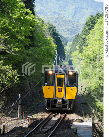Limited Express Super Oki running on the Yamaguchi Line Limited Express Super Oki running on the Yamaguchi Line 114287790