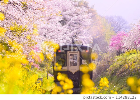 群馬泉渡良瀨溪國鐵道 群馬泉渡良瀨溪國鐵道 114288122