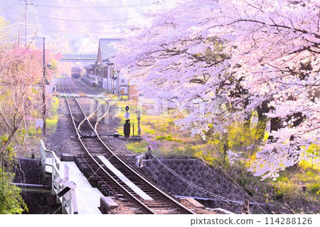 Gunma: Spring on the Watarase Valley Railway Gunma: Spring on the Watarase Valley Railway 114288126
