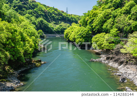 新綠色的宇治川風景 京都府宇治市 114288144