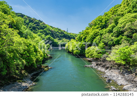 Fresh greenery of the Uji River in Uji, Kyoto Prefecture 114288145