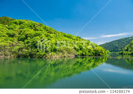 京都府宇治市法王湖新綠天瀨水壩 114288174