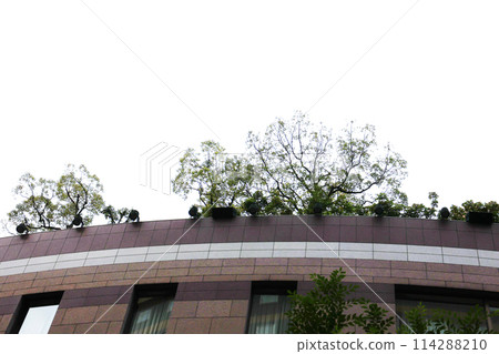 A commercial complex in the city center with a rooftop garden A commercial complex in the city center with a rooftop garden 114288210