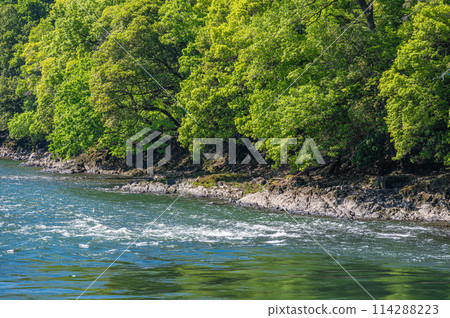 新綠山峽宇治川 京都府宇治市 114288223