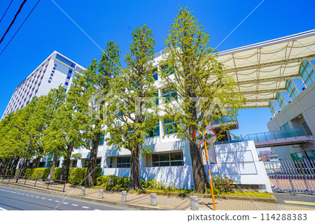 Asia University Asia University 114288383