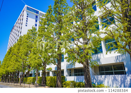 Asia University 114288384