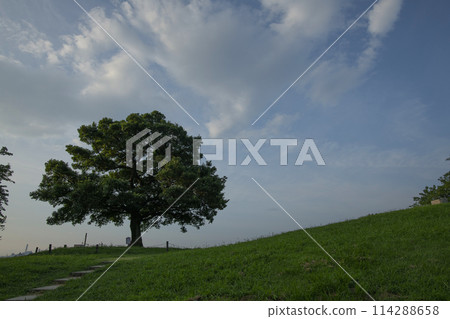 Shimizugaoka Park Before dawn Shimizugaoka, Minami Ward, Yokohama City, Kanagawa Prefecture 114288658