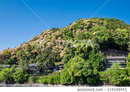 京都府宇治市的新綠山 京都府宇治市的新綠山 114289455