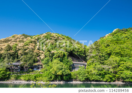 Mountains with fresh greenery, Uji City, Kyoto Prefecture 114289456