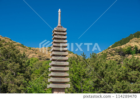 Uji Park Tower Island in early summer: Thirteen-story stone tower 114289470