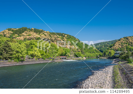 京都府宇治市宇治公園遠島的新鮮綠山脈 114289495