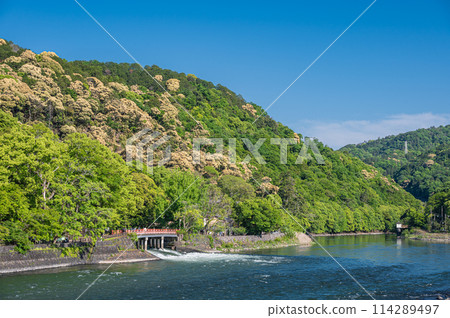 從京都府宇治市宇治公園看到的新鮮綠山 從京都府宇治市宇治公園看到的新鮮綠山 114289497