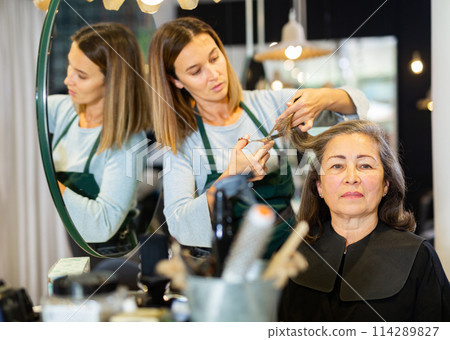 Elderly woman getting haircut by professional female hairdresser Elderly woman getting haircut by professional female hairdresser 114289827