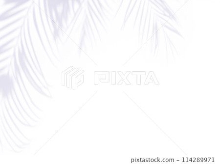 The faint shadow of a plant leaf falling on the wall of a white room, background material The faint shadow of a plant leaf falling on the wall of a white room, background material 114289971