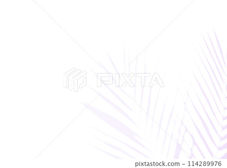 The faint shadow of a plant leaf falling on the wall of a white room, background material The faint shadow of a plant leaf falling on the wall of a white room, background material 114289976